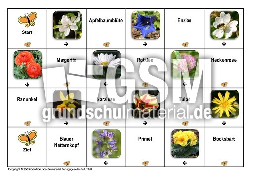 Domino-Frühlingsblüten-5.pdf